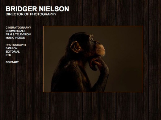 Bridger Nielson Home page Bridger Nielson Home page