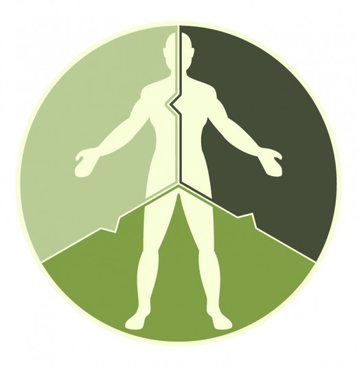 iws-logo-color-2 iws-logo-color-2